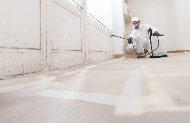 24/7 Emergency Mold Testing experts in Rockford, MI